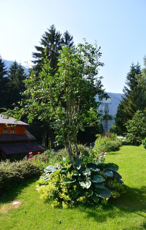 Die Kalsbergerin Ferienwohnung Fuer Geniesser Доннерсбахвальд Екстер'єр фото